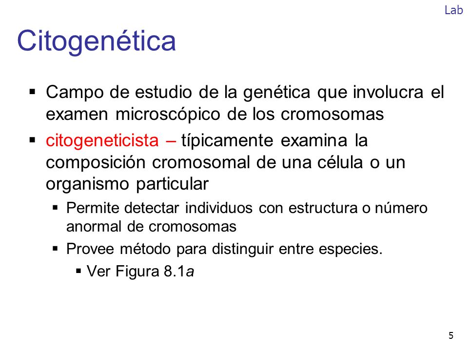 Lab Citogenética. Campo de estudio de la genética que involucra el examen microscópico de los cromosomas.