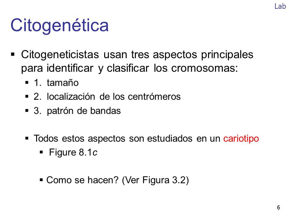 Lab Citogenética. Citogeneticistas usan tres aspectos principales para identificar y clasificar los cromosomas: