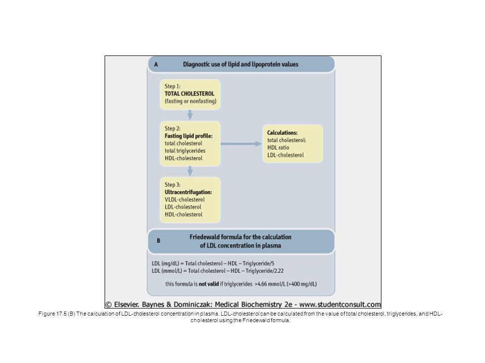 Figure 17.5 (B) The calculation of LDL-cholesterol concentration in plasma.