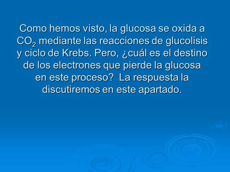 Como hemos visto, la glucosa se oxida a CO2 mediante las reacciones de glucolisis y ciclo de Krebs.