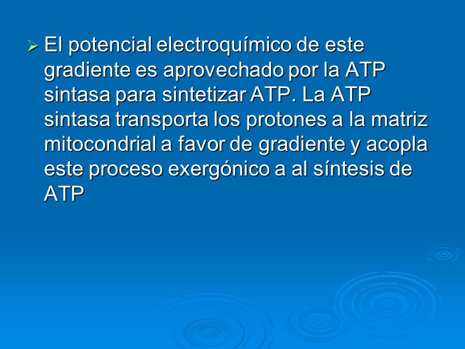 El potencial electroquímico de este gradiente es aprovechado por la ATP sintasa para sintetizar ATP.