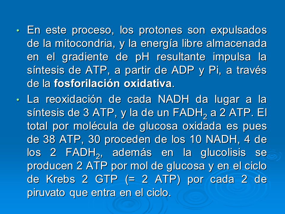 En este proceso, los protones son expulsados de la mitocondria, y la energía libre almacenada en el gradiente de pH resultante impulsa la síntesis de ATP, a partir de ADP y Pi, a través de la fosforilación oxidativa.