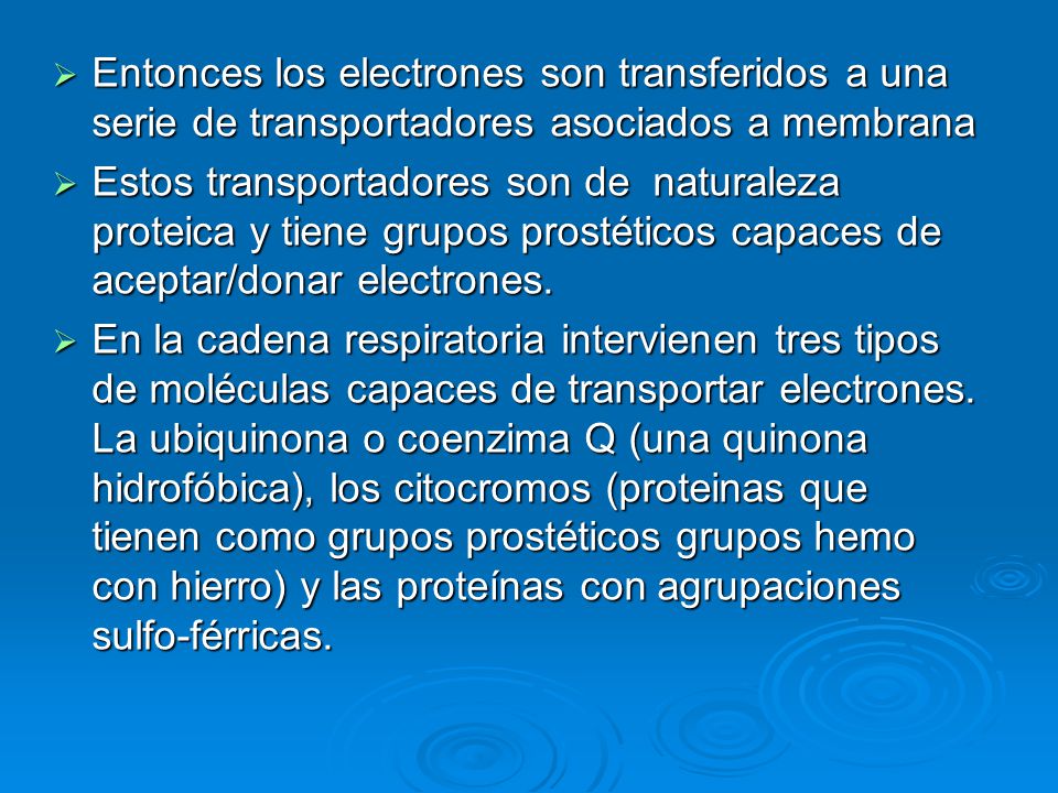 Entonces los electrones son transferidos a una serie de transportadores asociados a membrana