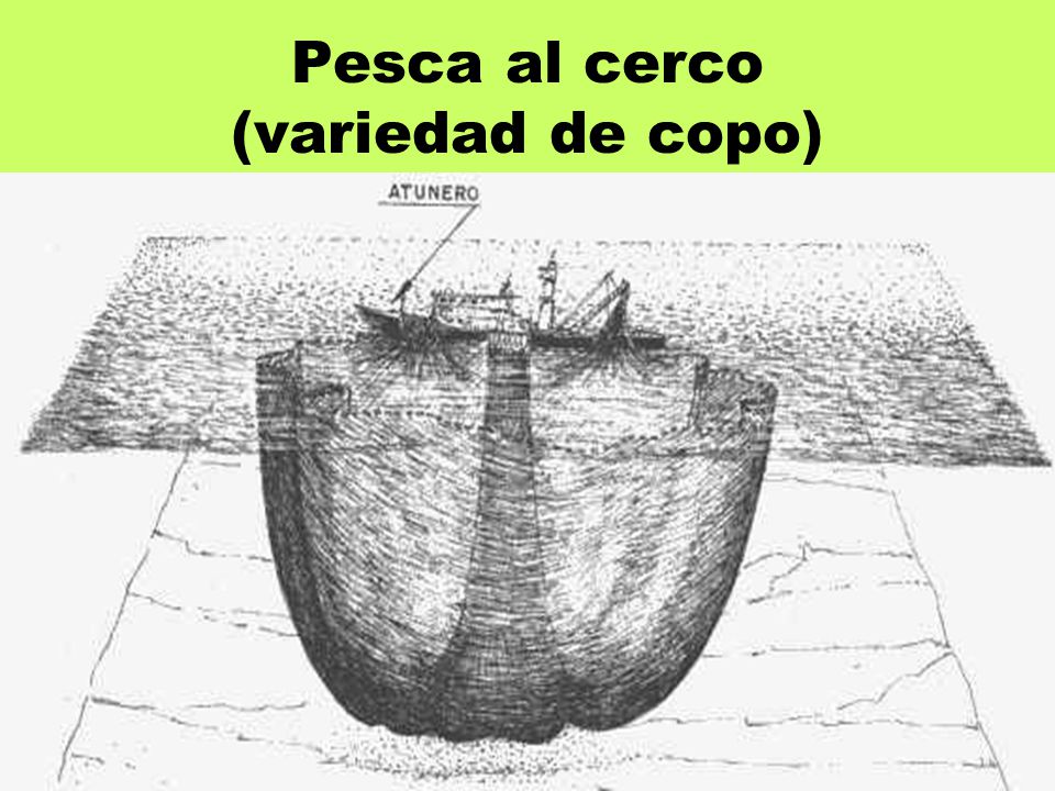 Pesca al cerco (variedad de copo)