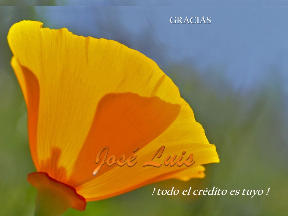 GRACIAS luchar por un mundo mejor, perseguir lo mejor que hay en ti llegar donde nadie a llegado y soñar lo imposible soñar.