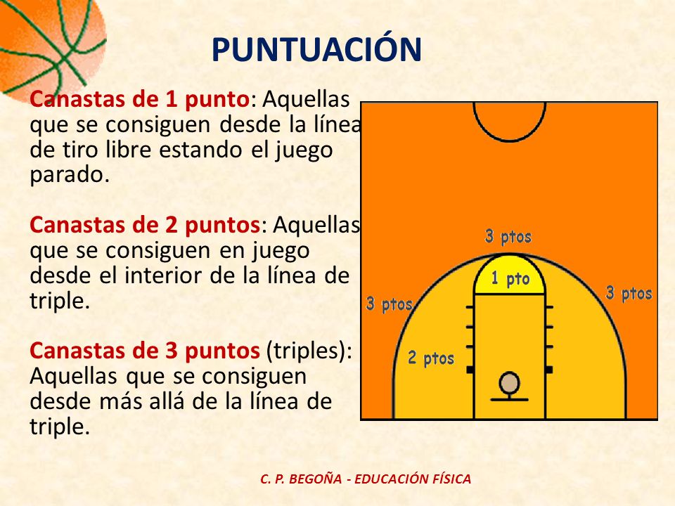 APUNTES DE BALONCESTO C. P. BEGOÑA E. FÍSICA. - ppt descargar