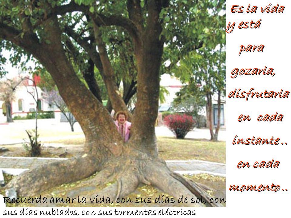 Es la vida y está para gozarla, disfrutarla en cada instante ..