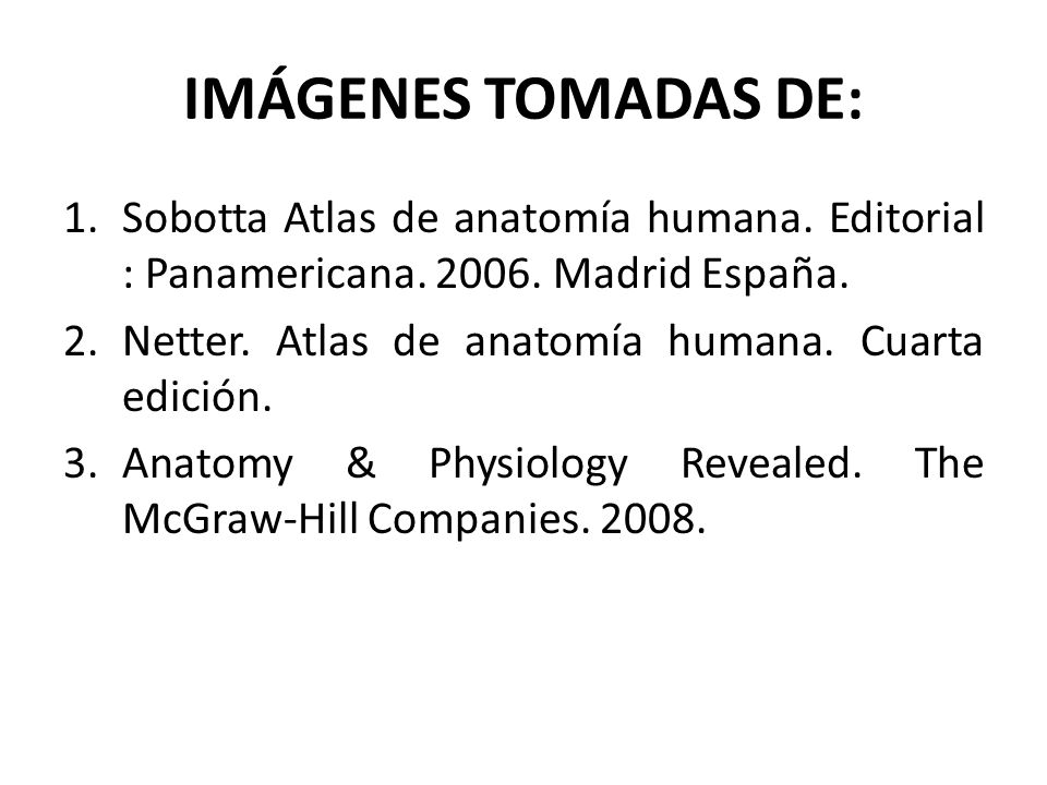 IMÁGENES TOMADAS DE: Sobotta Atlas de anatomía humana. Editorial : Panamericana Madrid España.