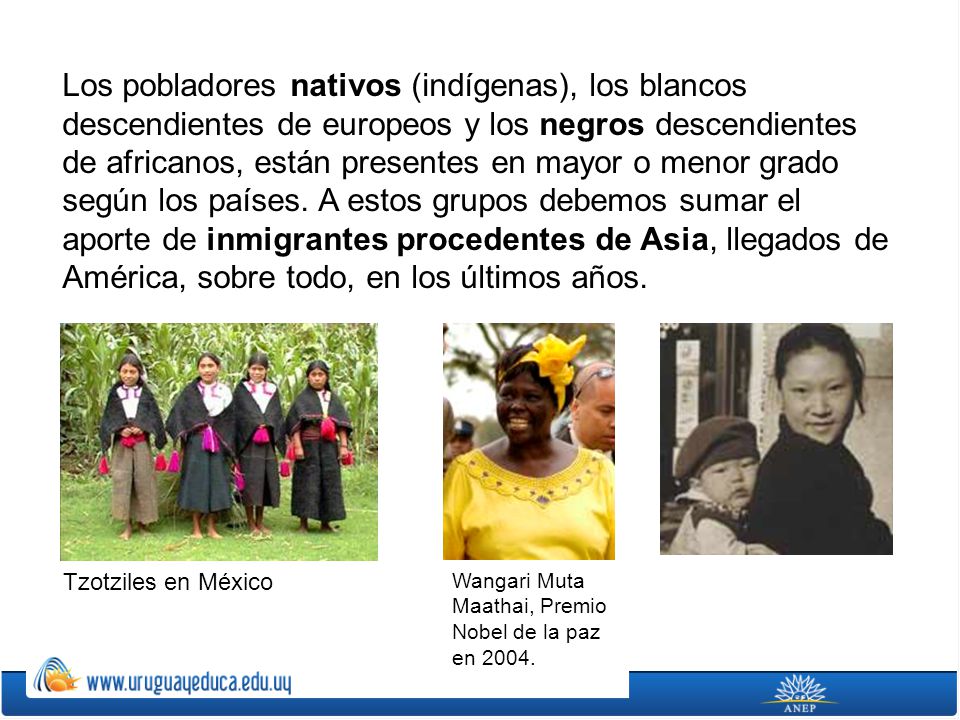Los pobladores nativos (indígenas), los blancos descendientes de europeos y los negros descendientes de africanos, están presentes en mayor o menor grado según los países. A estos grupos debemos sumar el aporte de inmigrantes procedentes de Asia, llegados de América, sobre todo, en los últimos años.