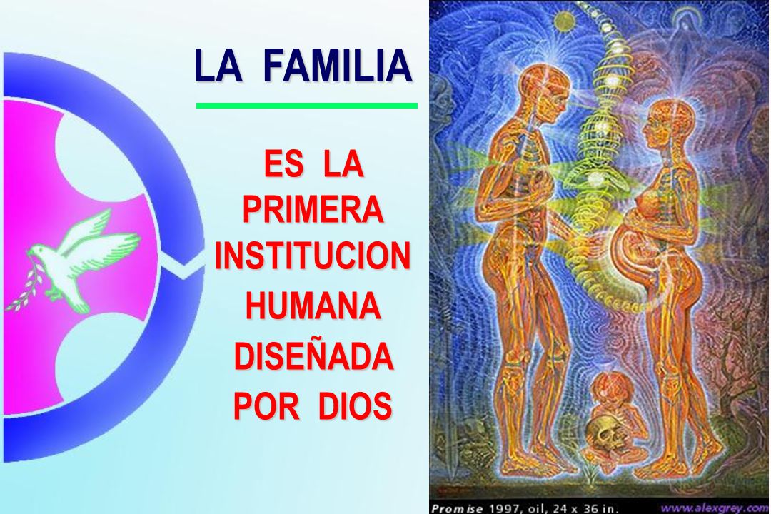 LA FAMILIA ES LA PRIMERA INSTITUCION HUMANA DISEÑADA POR DIOS