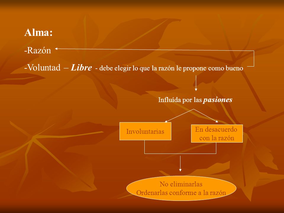 Ordenarlas conforme a la razón