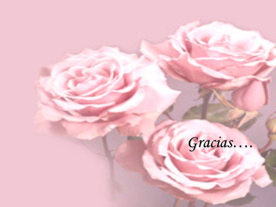 Gracias….