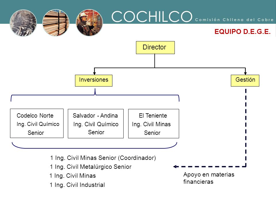 EQUIPO D.E.G.E. Director 1 Ing. Civil Minas Senior (Coordinador)