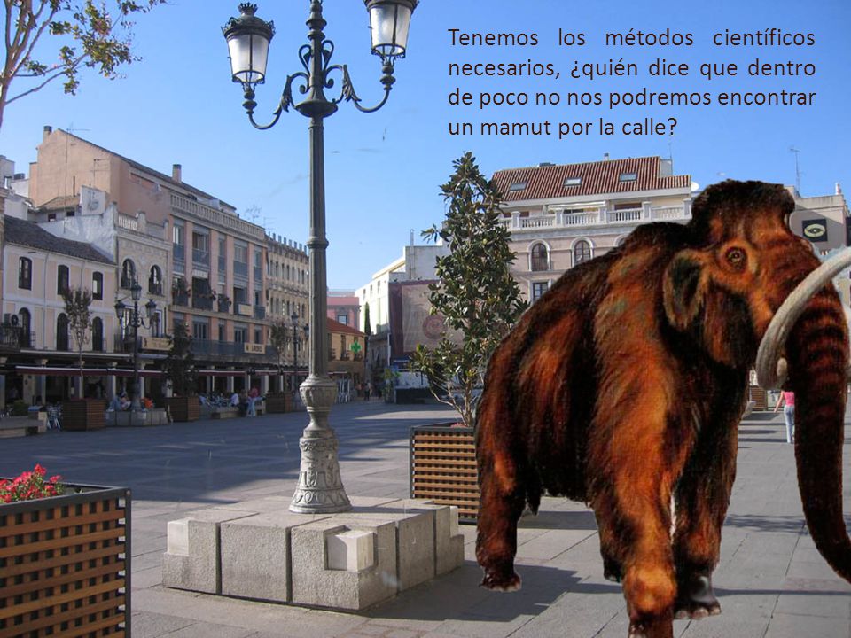 Tenemos los métodos científicos necesarios, ¿quién dice que dentro de poco no nos podremos encontrar un mamut por la calle
