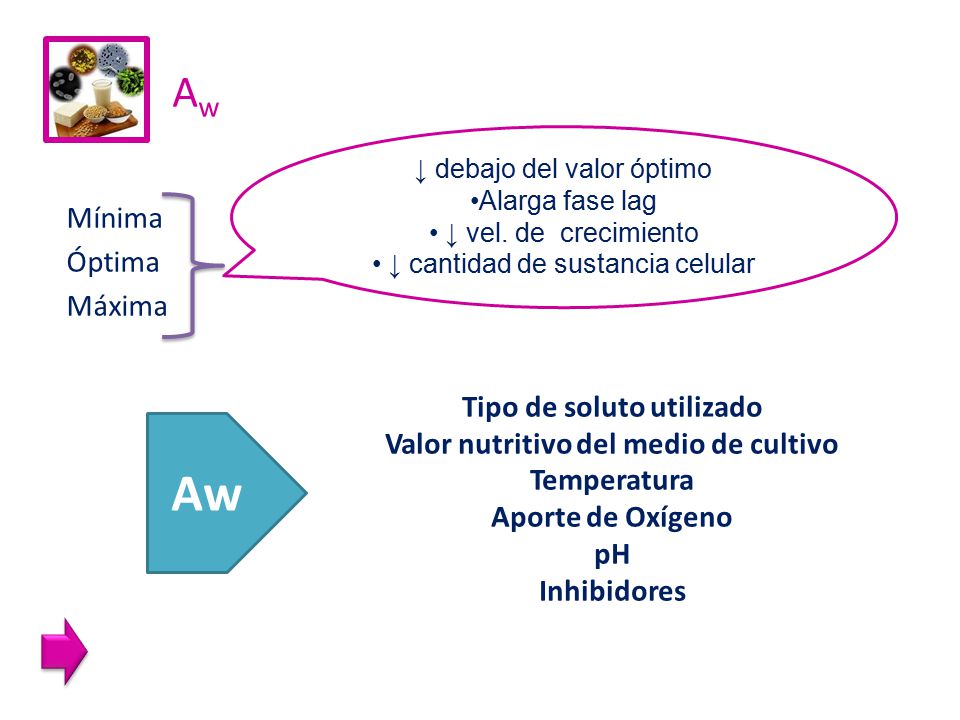 Tipo de soluto utilizado Valor nutritivo del medio de cultivo
