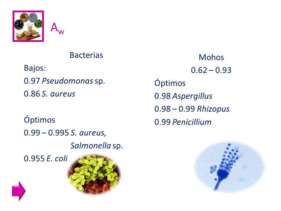 Aw Bacterias Bajos: 0.97 Pseudomonas sp S. aureus Óptimos 0.99 – S. aureus, Salmonella sp E. coli