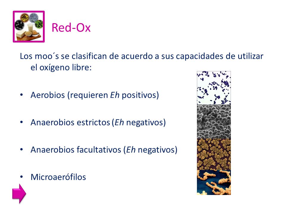Red-Ox Los moo´s se clasifican de acuerdo a sus capacidades de utilizar el oxígeno libre: Aerobios (requieren Eh positivos)