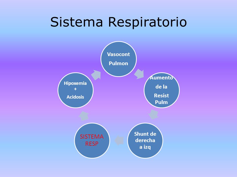 Sistema Respiratorio SISTEMA RESP Aumento Shunt de derecha a izq