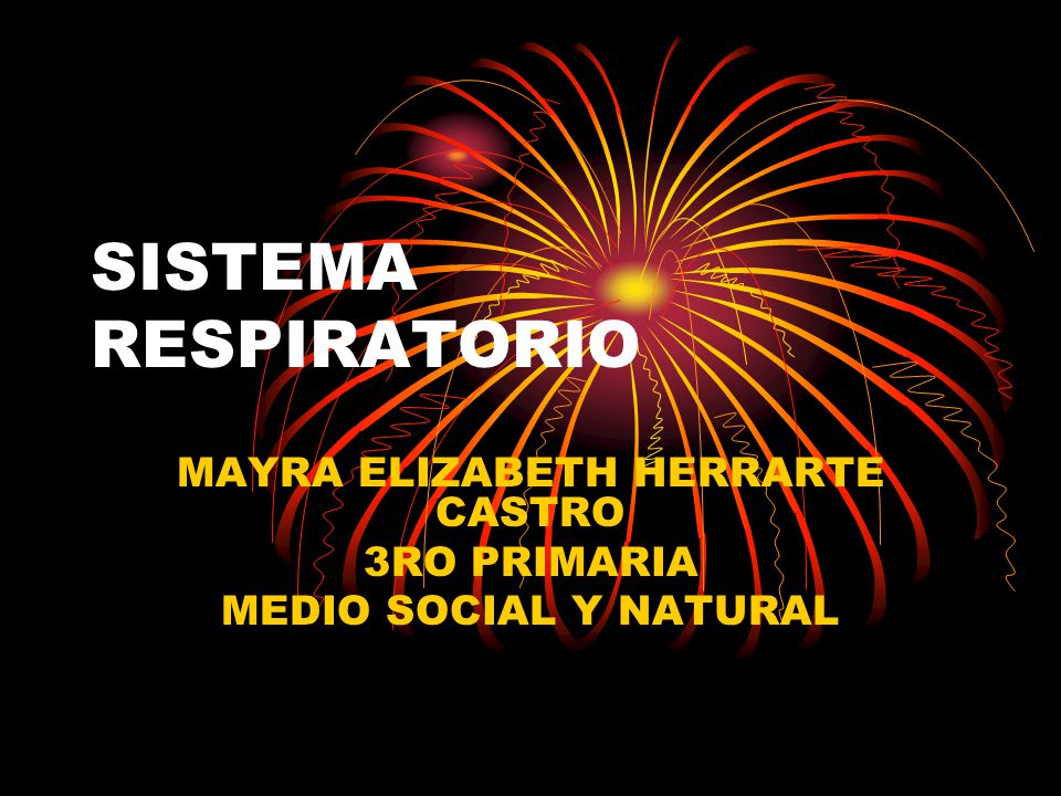 MAYRA ELIZABETH HERRARTE CASTRO 3RO PRIMARIA MEDIO SOCIAL Y NATURAL