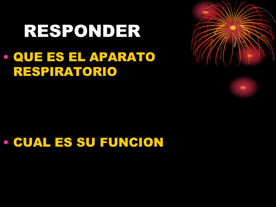 RESPONDER QUE ES EL APARATO RESPIRATORIO CUAL ES SU FUNCION