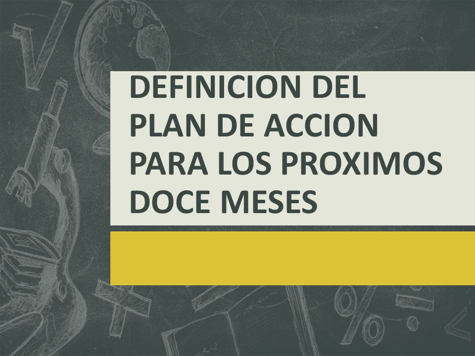 DEFINICION DEL PLAN DE ACCION PARA LOS PROXIMOS DOCE MESES