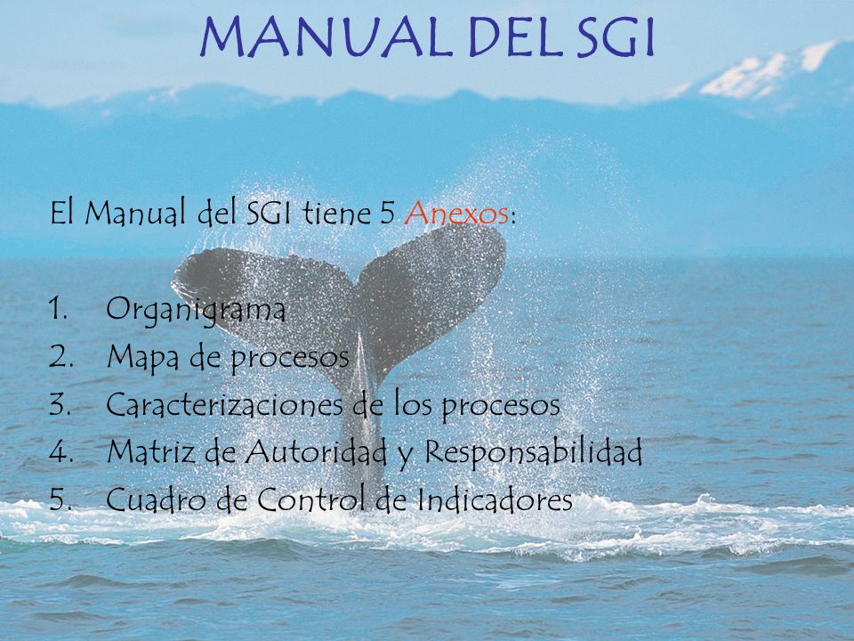 MANUAL DEL SGI El Manual del SGI tiene 5 Anexos: Organigrama