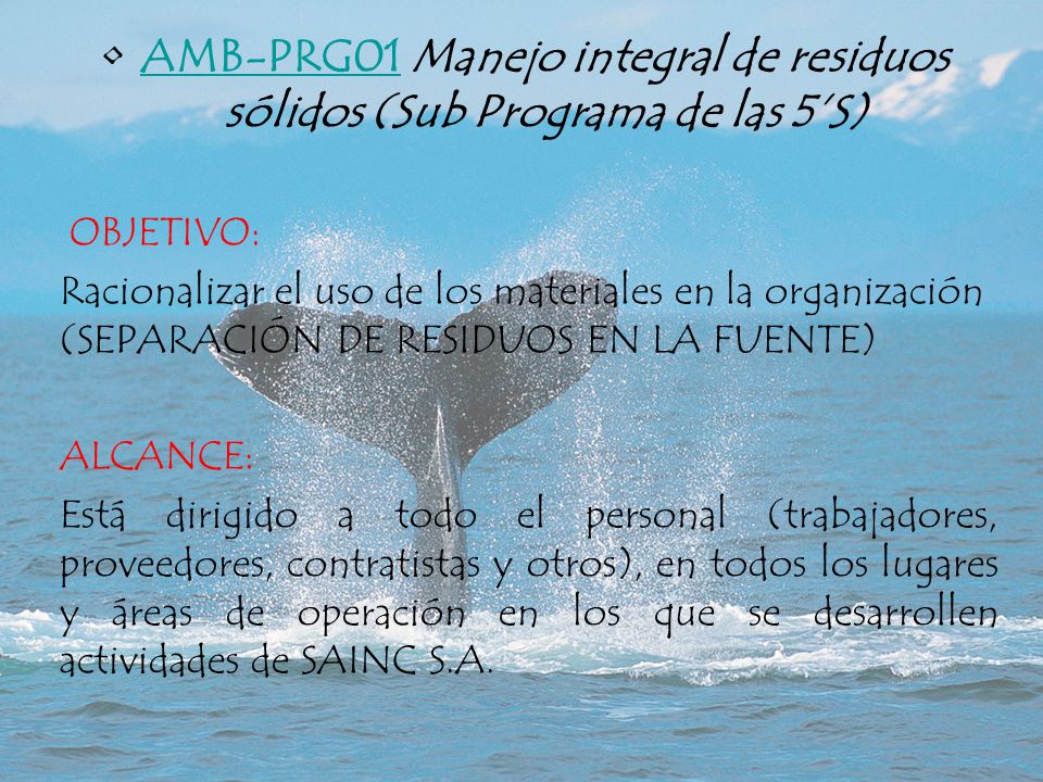AMB-PRG01 Manejo integral de residuos sólidos (Sub Programa de las 5’S)