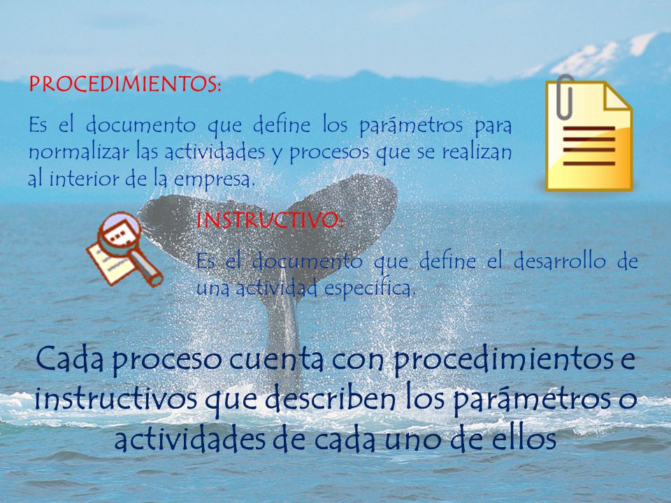 PROCEDIMIENTOS: Es el documento que define los parámetros para normalizar las actividades y procesos que se realizan al interior de la empresa.