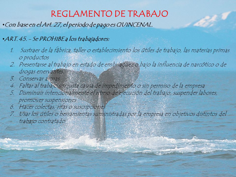 REGLAMENTO DE TRABAJO Con base en el Art. 27, el periodo de pago es QUINCENAL. ART Se PROHIBE a los trabajadores: