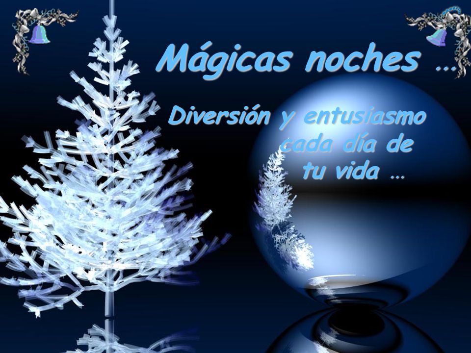 Mágicas noches … Diversión y entusiasmo cada día de tu vida …