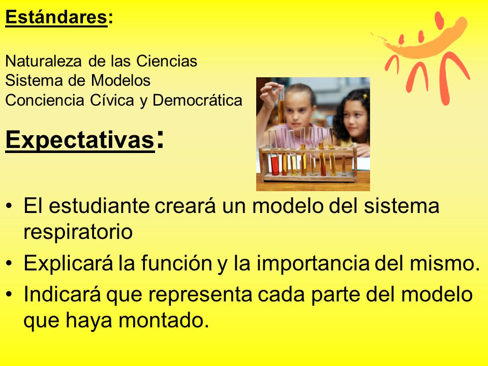 Expectativas: El estudiante creará un modelo del sistema respiratorio