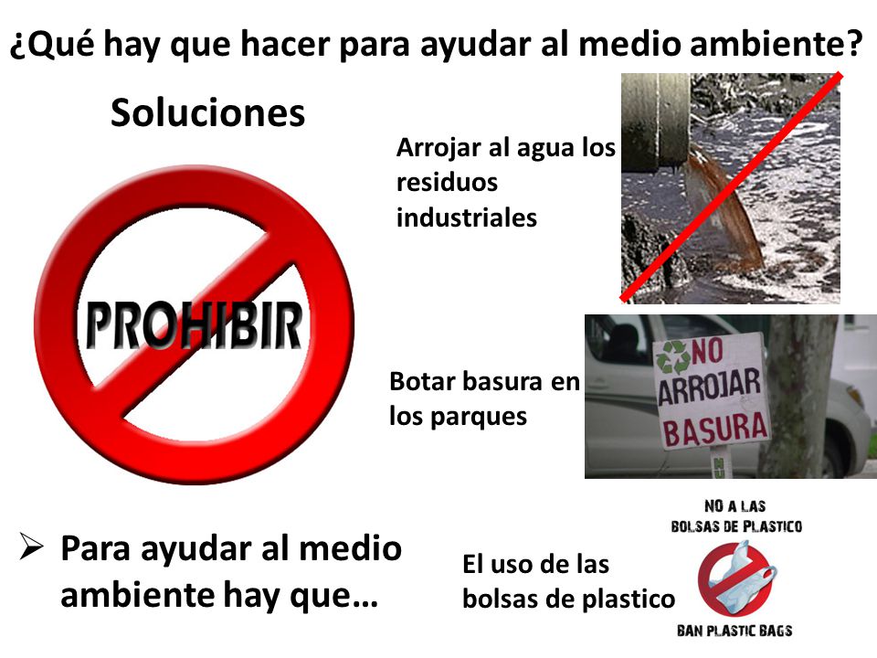 Soluciones ¿Qué hay que hacer para ayudar al medio ambiente