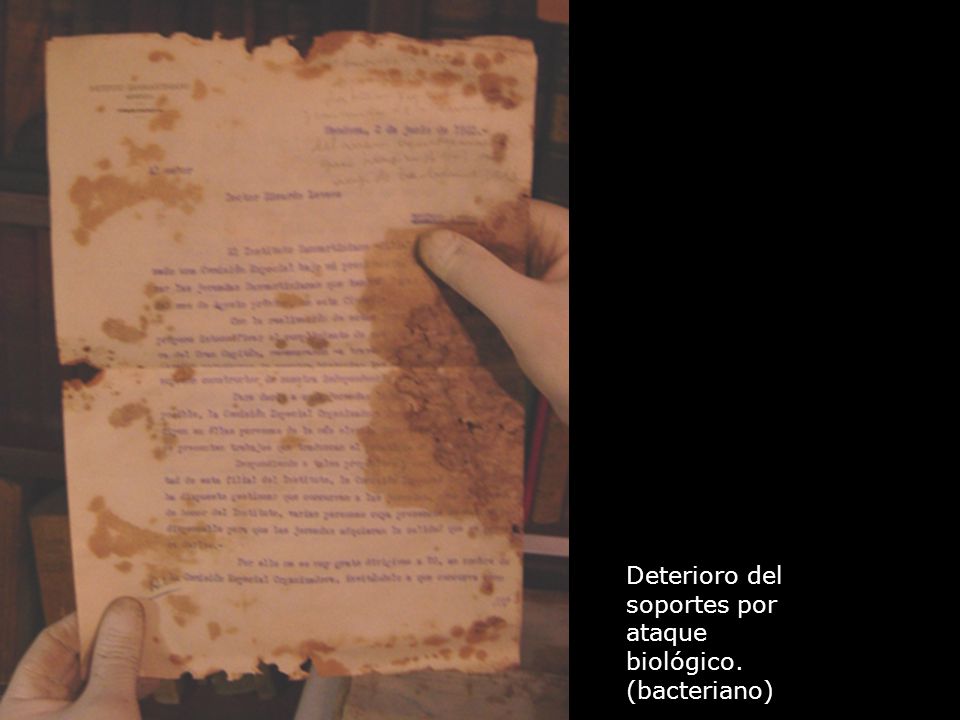 Deterioro del soportes por ataque biológico. (bacteriano)