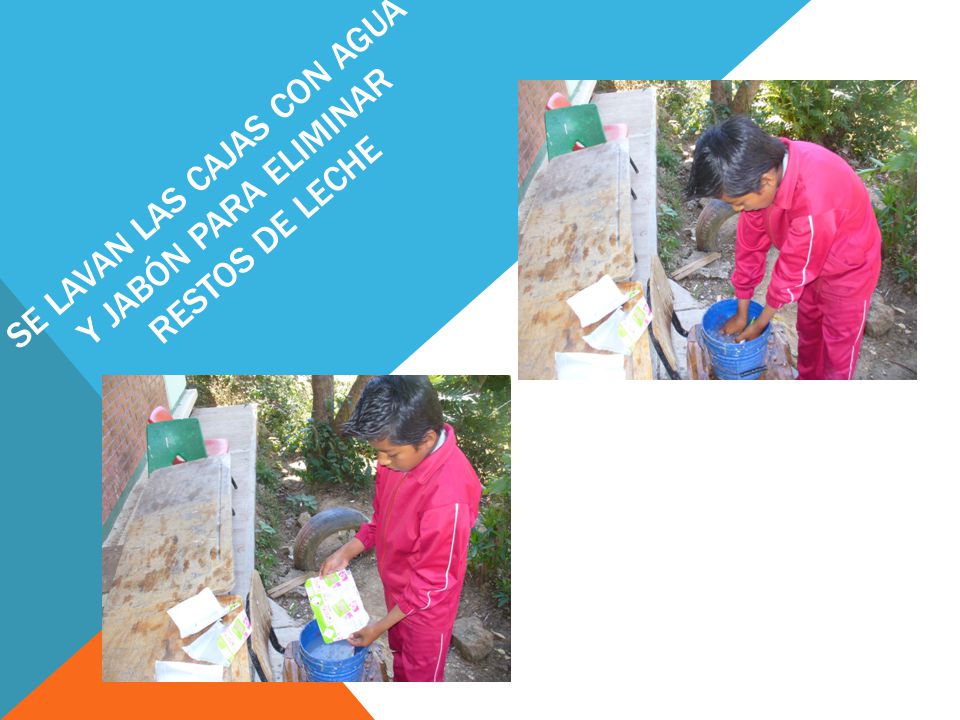Se lavan las cajas con agua y jabón para eliminar restos de leche