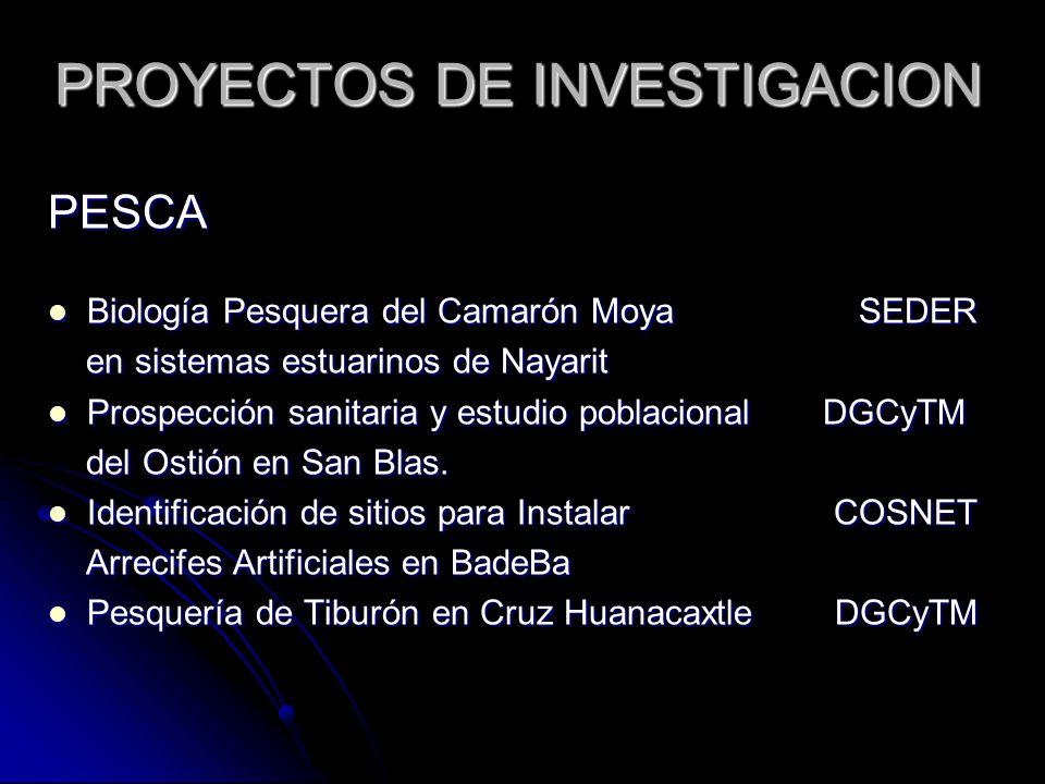 PROYECTOS DE INVESTIGACION