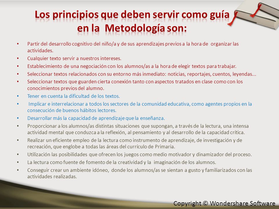 Los principios que deben servir como guía en la Metodología son: