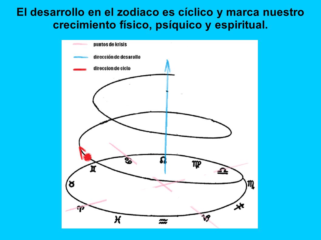 El desarrollo en el zodiaco es cíclico y marca nuestro crecimiento físico, psíquico y espiritual.