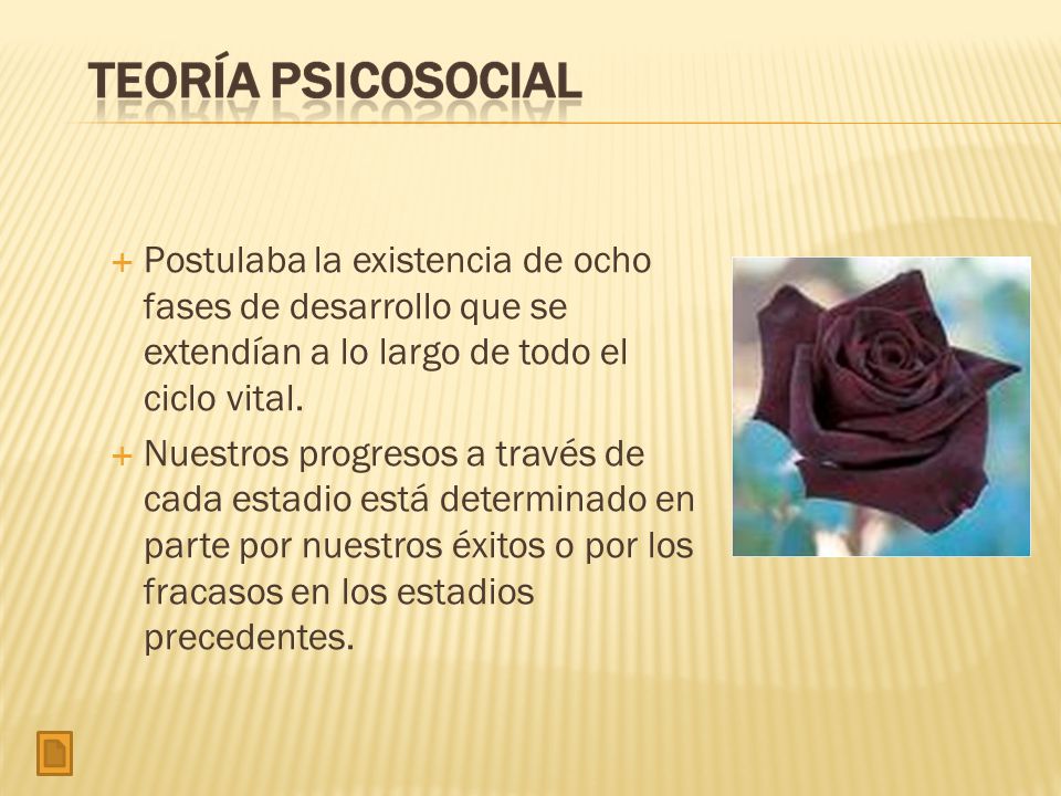 Postulaba la existencia de ocho fases de desarrollo que se extendían a lo largo de todo el ciclo vital.