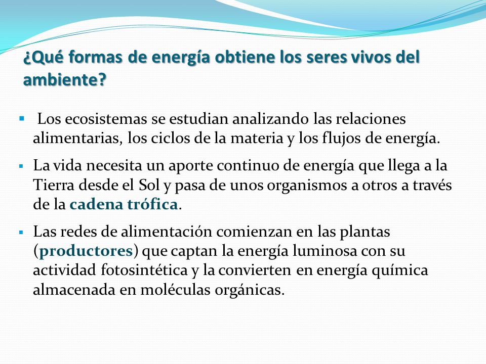 ¿Qué formas de energía obtiene los seres vivos del ambiente