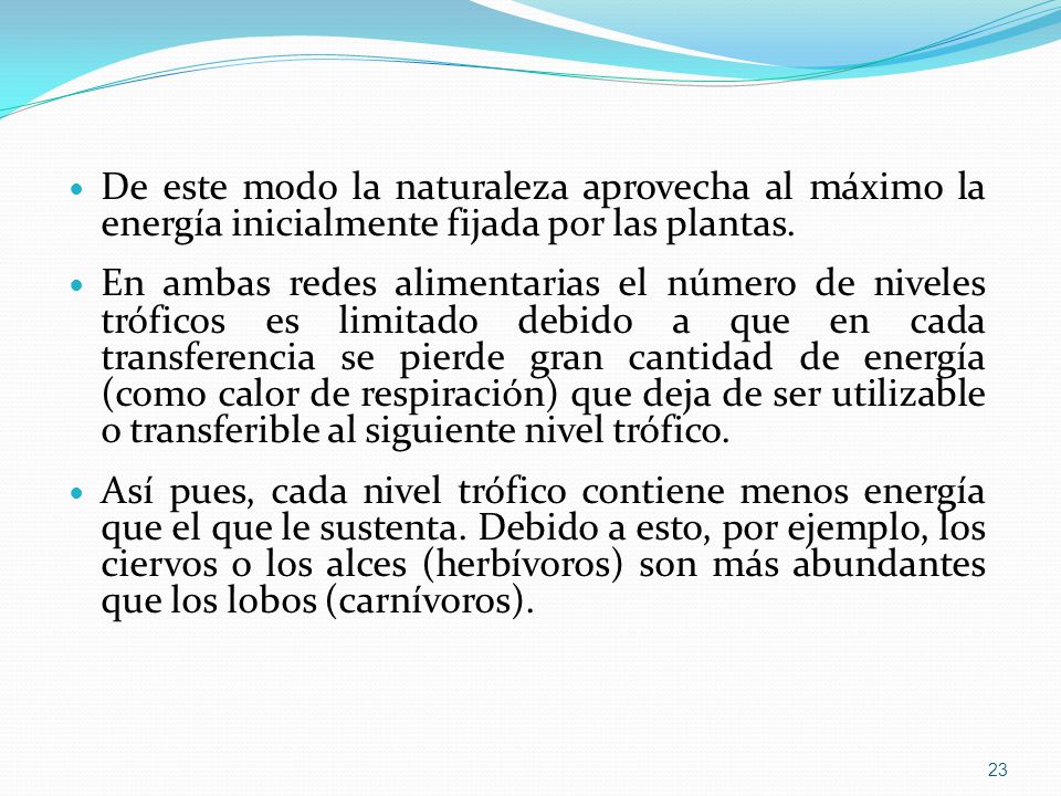 De este modo la naturaleza aprovecha al máximo la energía inicialmente fijada por las plantas.