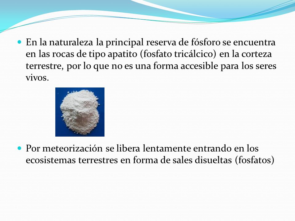En la naturaleza la principal reserva de fósforo se encuentra en las rocas de tipo apatito (fosfato tricálcico) en la corteza terrestre, por lo que no es una forma accesible para los seres vivos.
