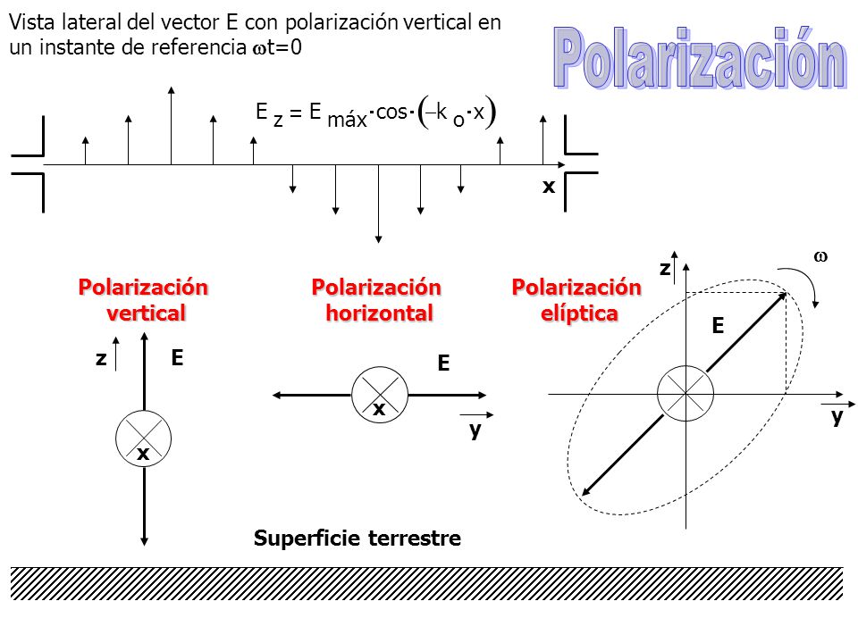 Vista lateral del vector E con polarización vertical en un instante de referencia t=0