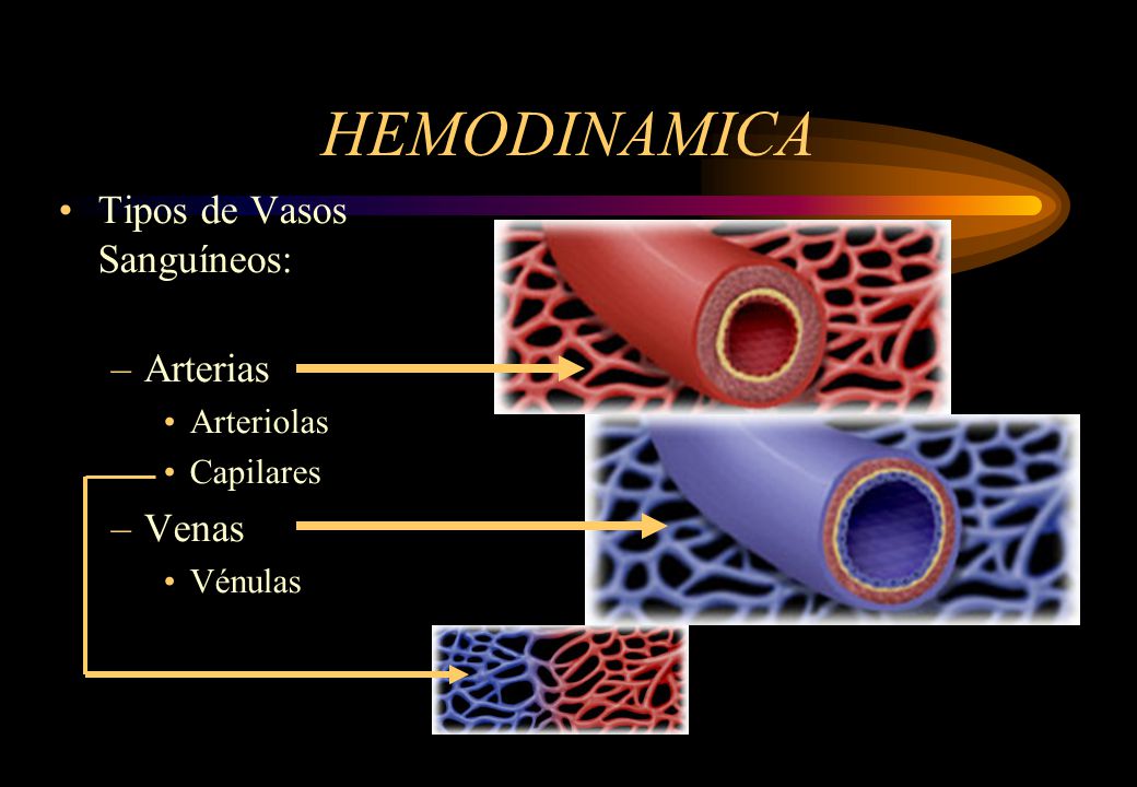 HEMODINAMICA Tipos de Vasos Sanguíneos: Arterias Venas Arteriolas