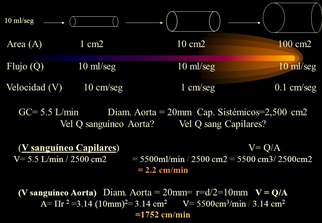 GC= 5.5 L/min Diam. Aorta = 20mm Cap. Sistémicos=2,500 cm2