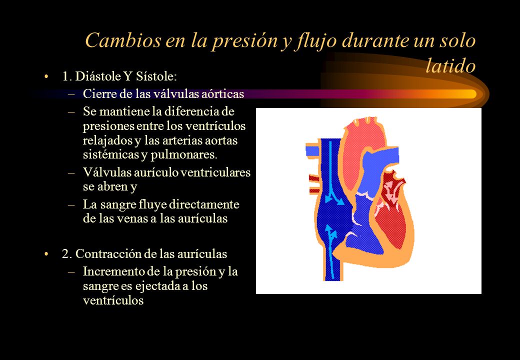Cambios en la presión y flujo durante un solo latido