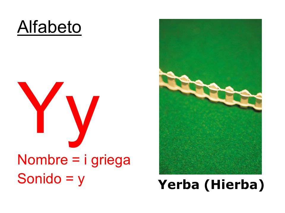 Alfabeto Yy Nombre = i griega Sonido = y Yerba (Hierba)