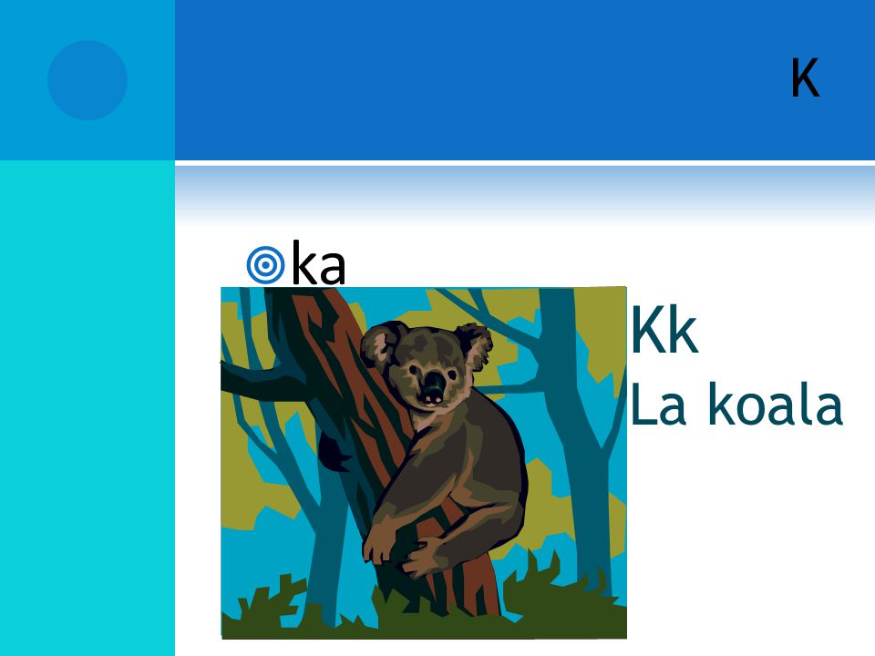 K ka Kk La koala