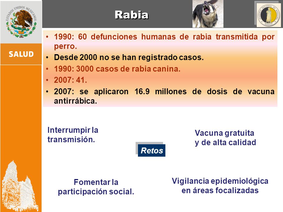 Rabia 1990: 60 defunciones humanas de rabia transmitida por perro.