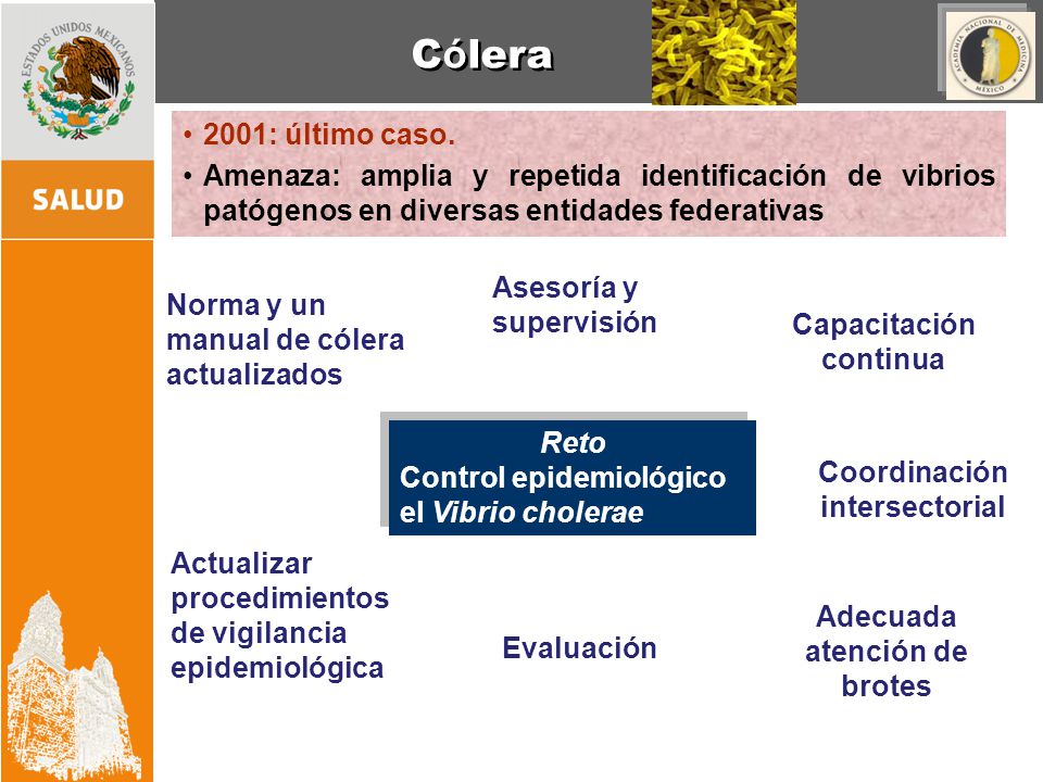 Cólera 2001: último caso. Amenaza: amplia y repetida identificación de vibrios patógenos en diversas entidades federativas.