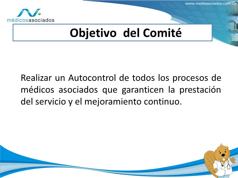 Objetivo del Comité
